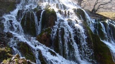 Berettyó-forrás
