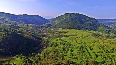 zold taj