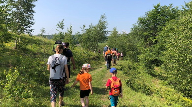 Fehér törzsű, karcsú nyírfák között vezetett utunk az Őzek völgye felé_FOTÓ Kismihály Boglárka
