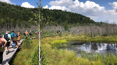 A Mohos-tőzegláp sötét vizű tószemei akár a 20 m mélységet is elérhetik, a tőzeg vastagsága peding helyenként 10 m_FOTÓ Kismihály Boglárka