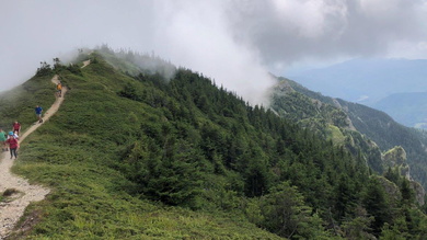 A köd könyörtelenül kezdte bekebelezni a magunk mögött hagyott utat_FOTÓ Kismihály Boglárka