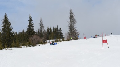 sípálya
