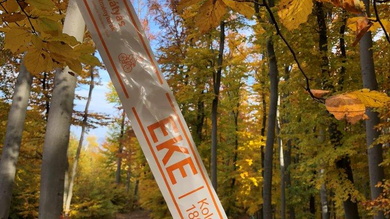 A 24-dik órában szalagoztuk ki az útvonalakat, ezért nem jutott idő minden szakaszra_FOTÓ Kismihály Boglárka