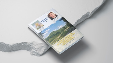 könyvborító Zsigmond Enikő