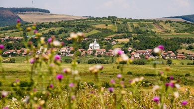 Bogdánd