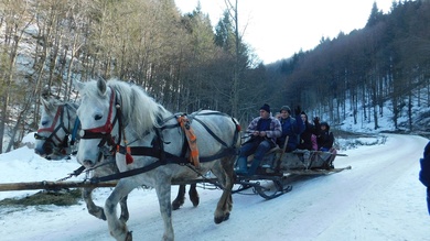 Lovasszánozás