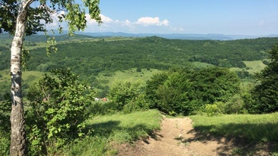 Pazar panoráma a Brüll-kilátóról