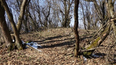 A Várhegy-csúcsot sajnos benőtte a növényzet, így a kilátásunk korlátozott