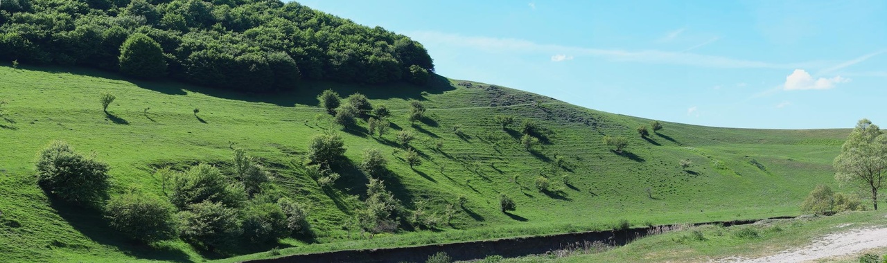 tájkép