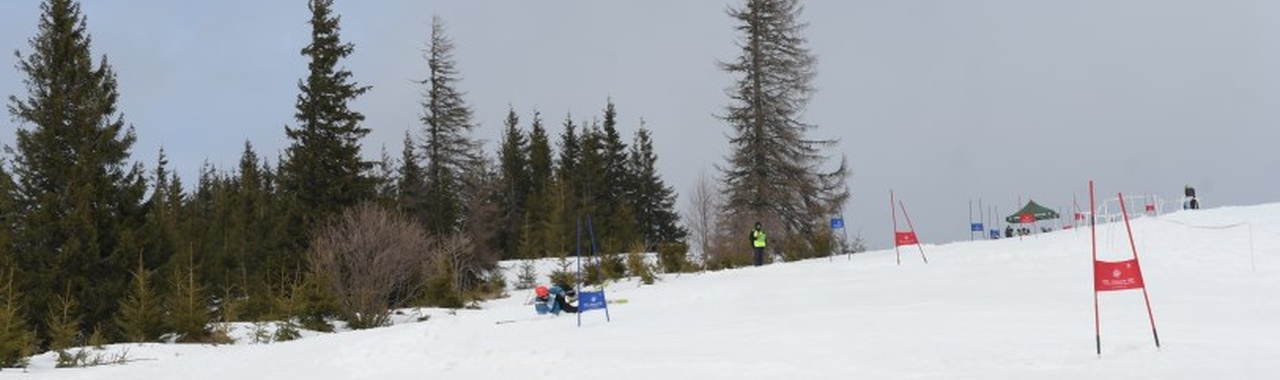 sípálya