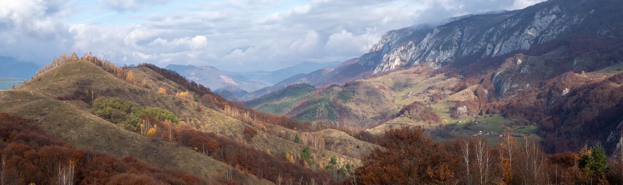Bedellő