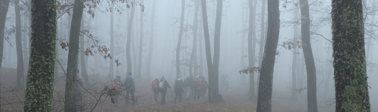 Decemberben megismételjük januári túránkat a kajántói tóhoz.
