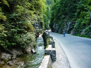 Bekas-szoros