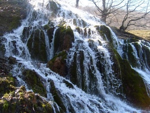 Berettyó-forrás