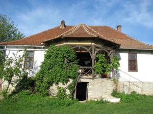 Szindi papilak