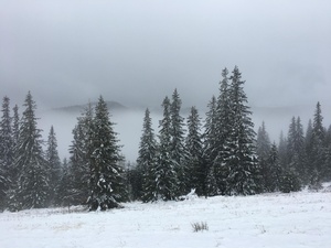 havas táj a vlegyásza hegységben