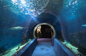 nyíregyházai állatkert akvárium