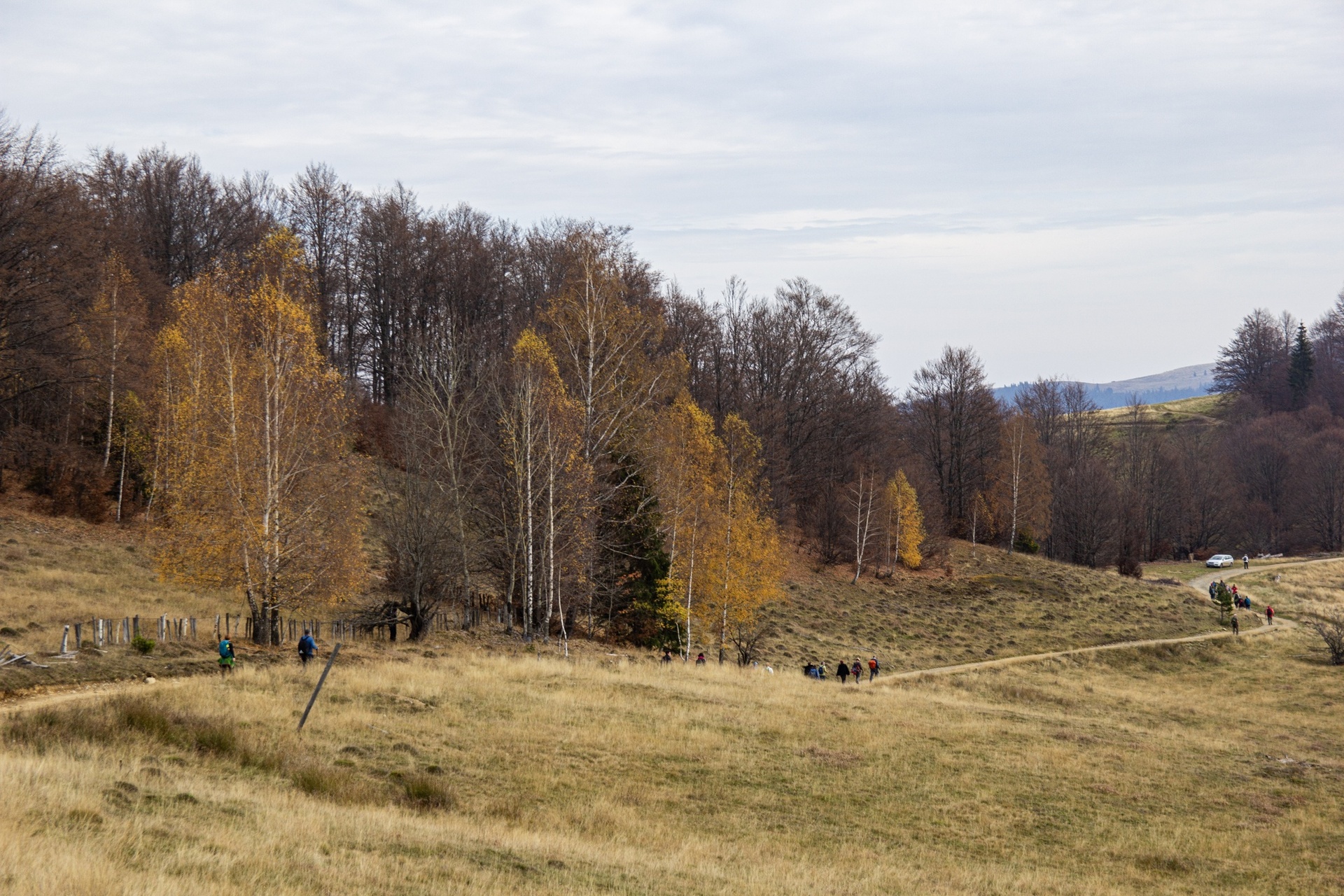 Ősszel a Nagy-hegyen