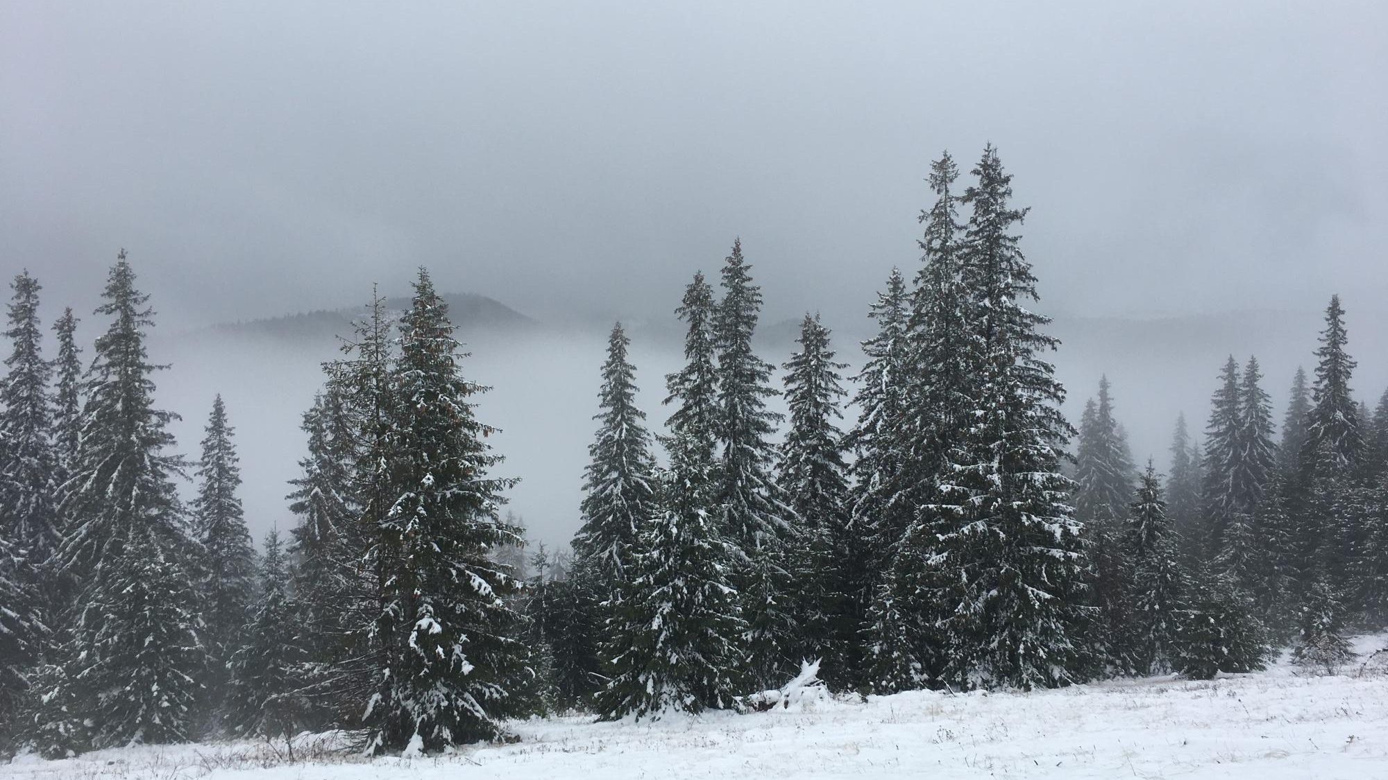 havas táj a vlegyásza hegységben