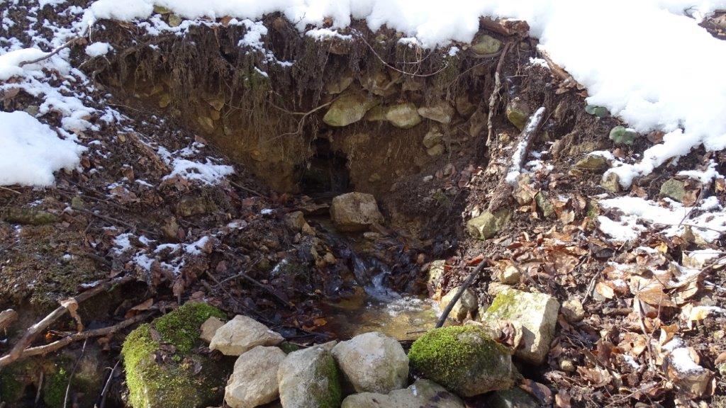 Hideg-forrás, a Gorbó-patak egyik mellékágának forrása