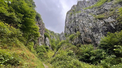 A vadregényes Fehérkői-szurdokvölgy alig 2 km-en számos barlangot, karsztforrást és víznyelőt rejt_FOTÓ Illyés Zsuzsa