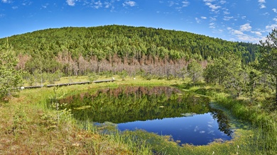 Tőzegláp