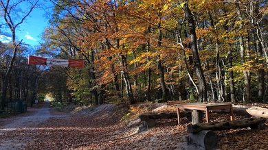 Ősszel az Adrenalin Parknál