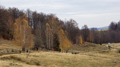 Ősszel a Nagy-hegyen