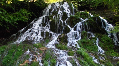 A Berettyó-forrás
