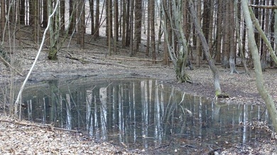 Időszakos tavacska az István-forrás közelében