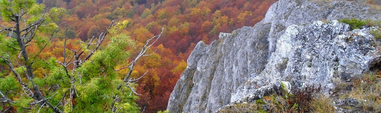 őszi sziklás táj