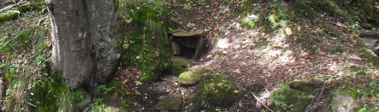 A Páter-forrás