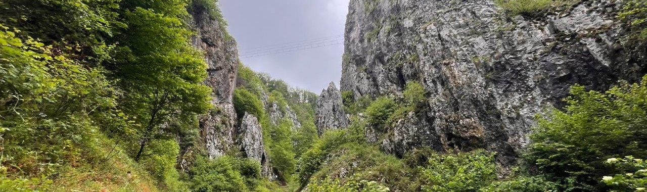 A vadregényes Fehérkői-szurdokvölgy alig 2 km-en számos barlangot, karsztforrást és víznyelőt rejt_FOTÓ Illyés Zsuzsa