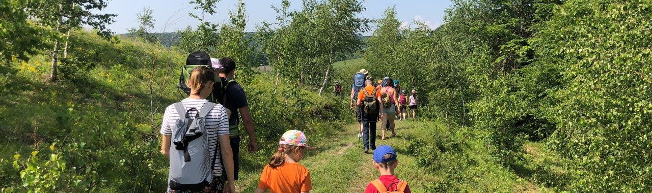 Fehér törzsű, karcsú nyírfák között vezetett utunk az Őzek völgye felé_FOTÓ Kismihály Boglárka