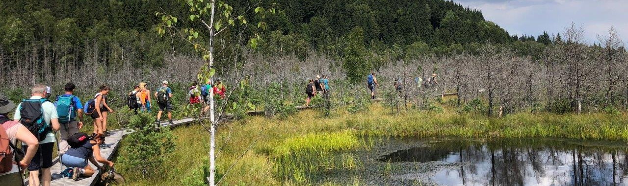 A Mohos-tőzegláp sötét vizű tószemei akár a 20 m mélységet is elérhetik, a tőzeg vastagsága peding helyenként 10 m_FOTÓ Kismihály Boglárka