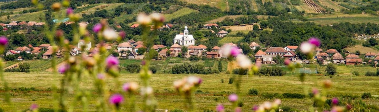 Bogdánd