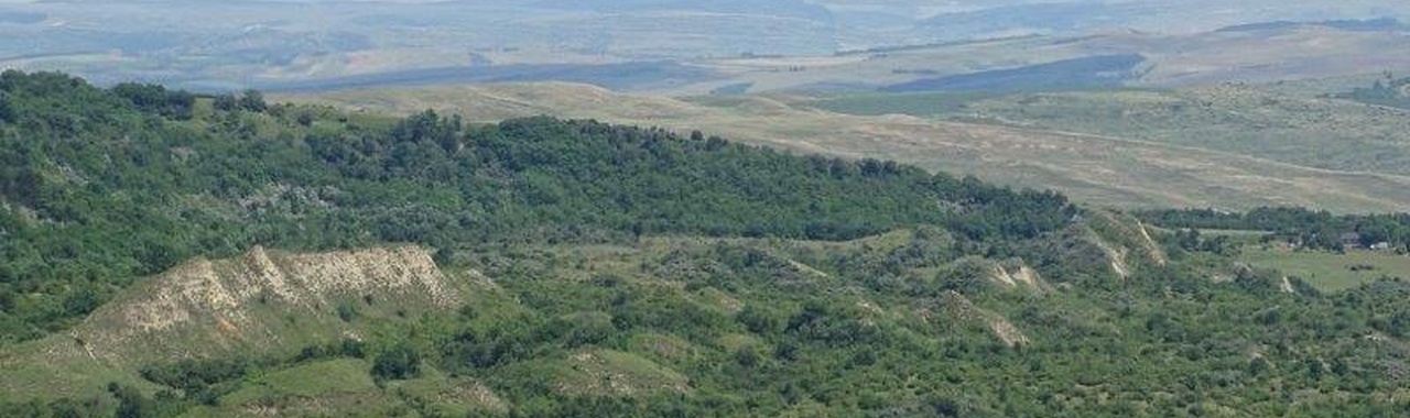 A Szénafüvek Természetvédelmi Terület