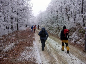 emberek a havas erdőben