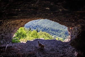 kilátás egy barlangból a napos tájra