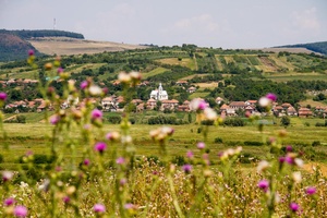 Bogdánd