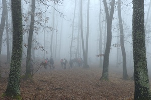 Decemberben megismételjük januári túránkat a kajántói tóhoz.