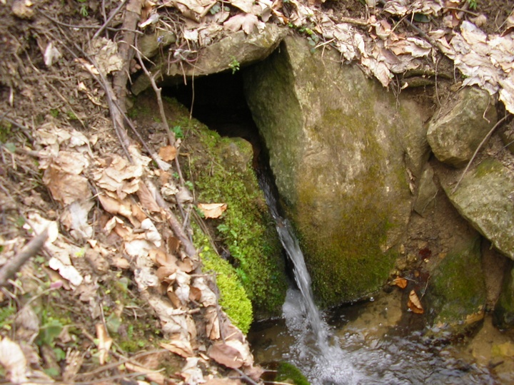 Pinkó-forrás