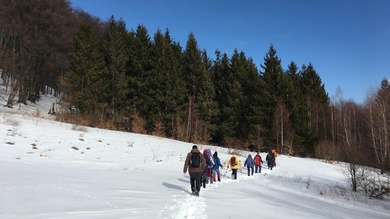 ... a többiekkel pedig a fenyves felé vesszük az irányt, ahol ebédszünetet tartunk