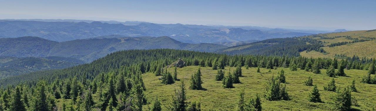 A Zengőkövekhez érve pihenőt tartottunk és megcsodáltuk az Aranyos-völgy panorámáját_FOTÓ Gál Réka