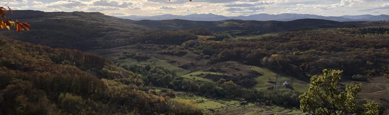 Bükki erdő