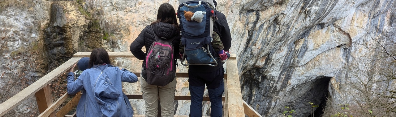 Jobb oldalt a Kacsó család és Zéfi legjobb barátai, a Memék.