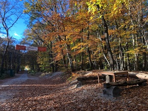 Ősszel az Adrenalin Parknál