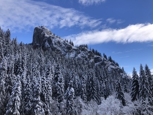 November végén a Sasbérc-kilátóra túrázunk