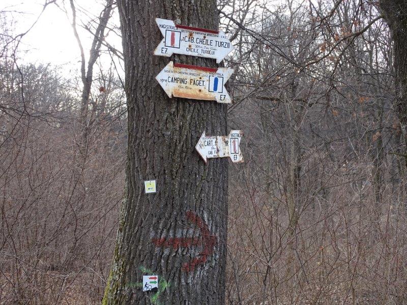Régi útvonaljelző táblák a fán